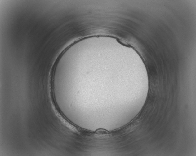 X0000073971142200609111735