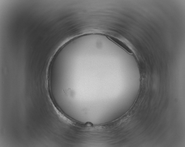 X0000073971143200609111735