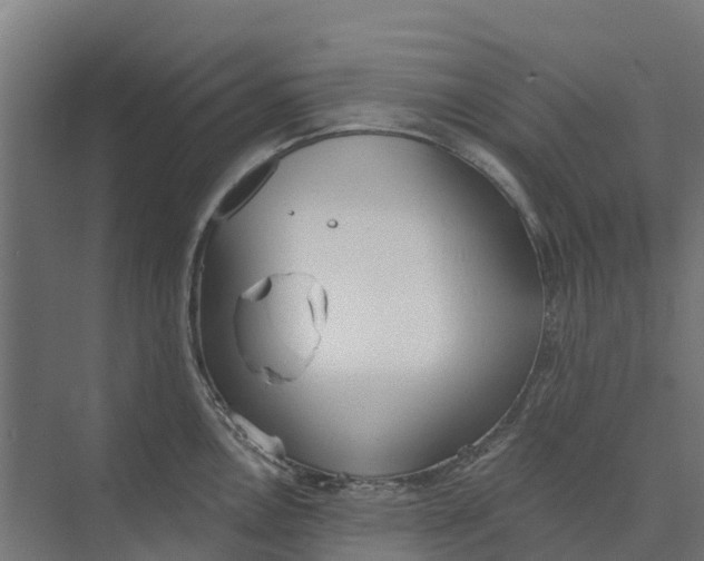 X0000073971146200609111735