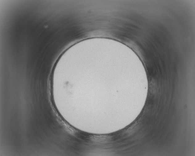 X0000073971150200609111735