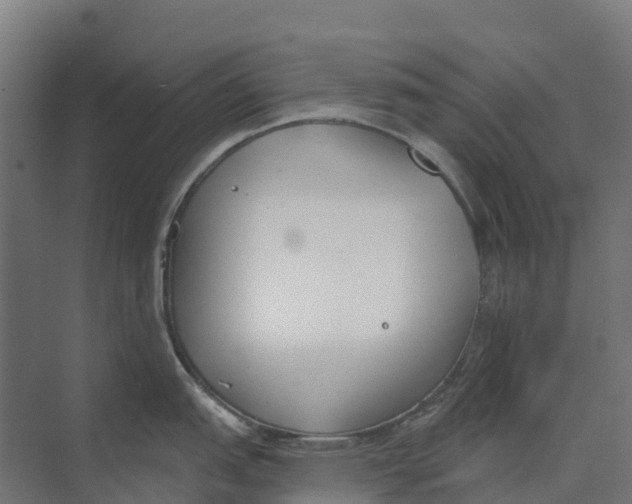 X0000073971151200609111735