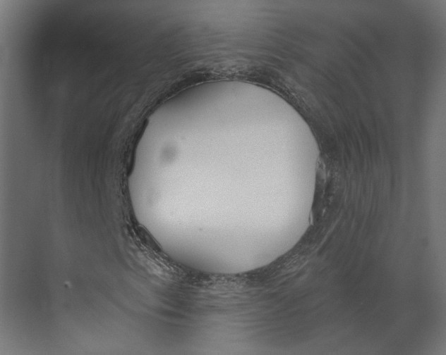 X0000073971153200609111735