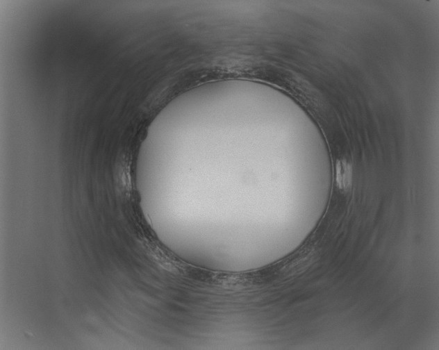 X0000073971155200609111734