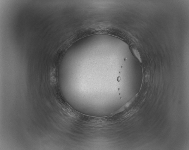 X0000073971156200609111734