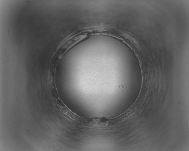 X0000073971160200609111734