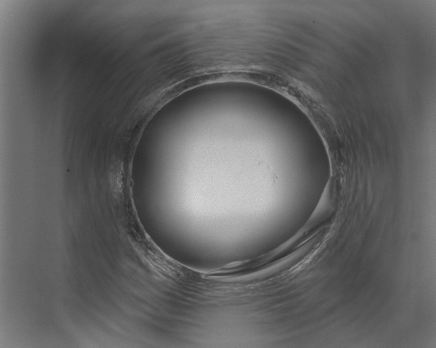 X0000073971161200609111734