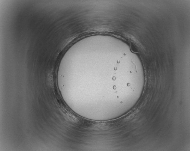 X0000073971162200609111734