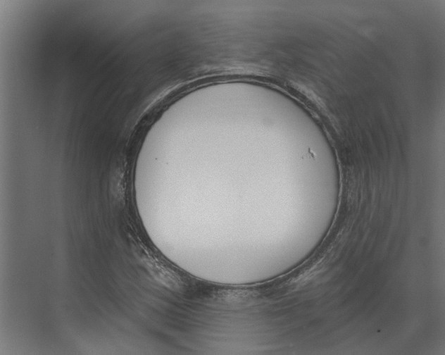 X0000073971163200609111734