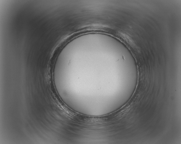 X0000073971164200609111734