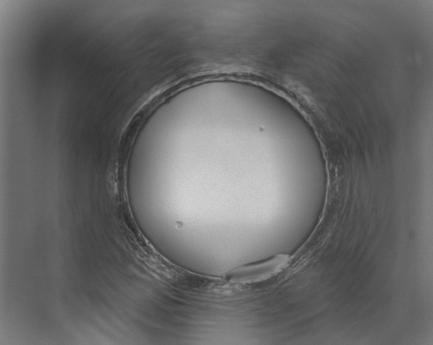 X0000073971165200609111734