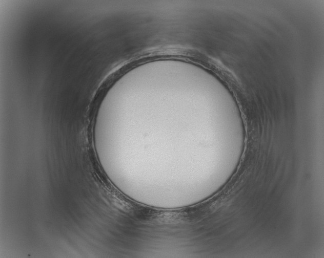 X0000073971166200609111734