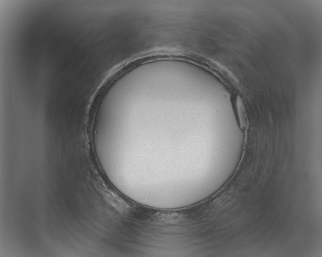 X0000073971168200609111734