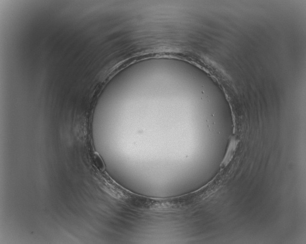 X0000073971169200609111734