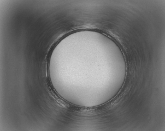 X0000073971171200609111734