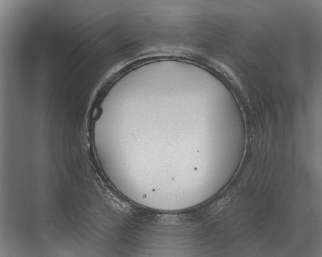 X0000073971172200609111734