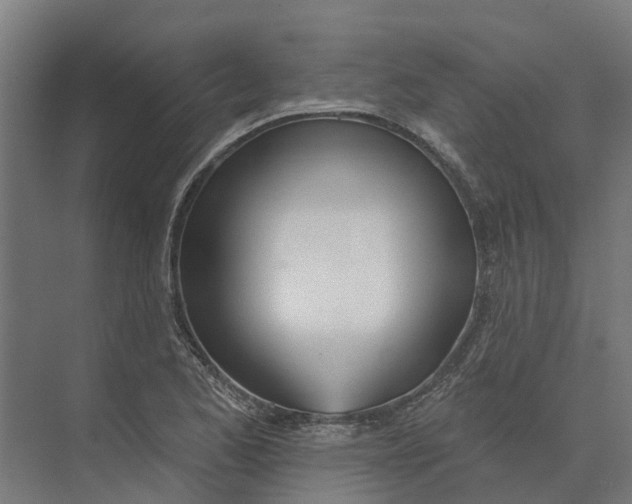 X0000073971173200609111734