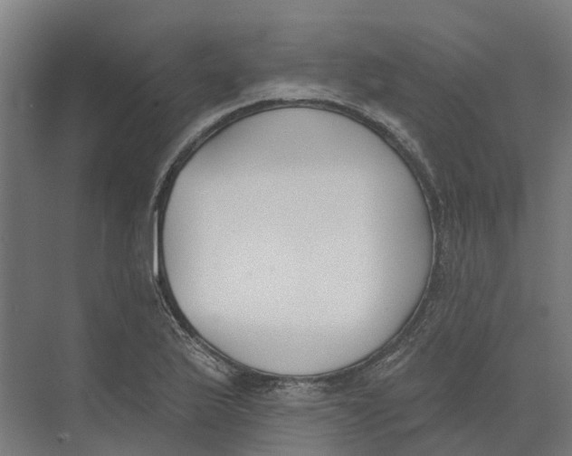 X0000073971175200609111734