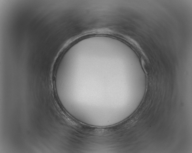 X0000073971176200609111734