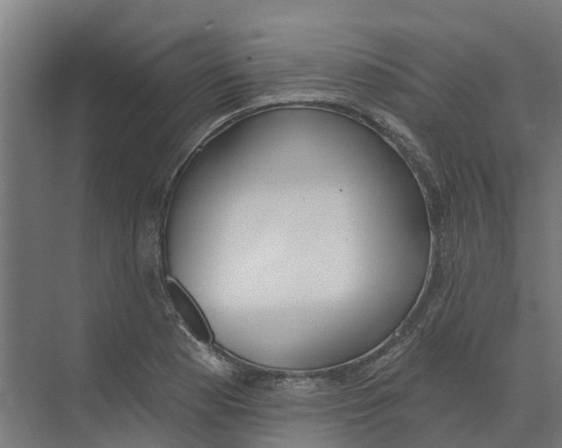 X0000073971177200609111734