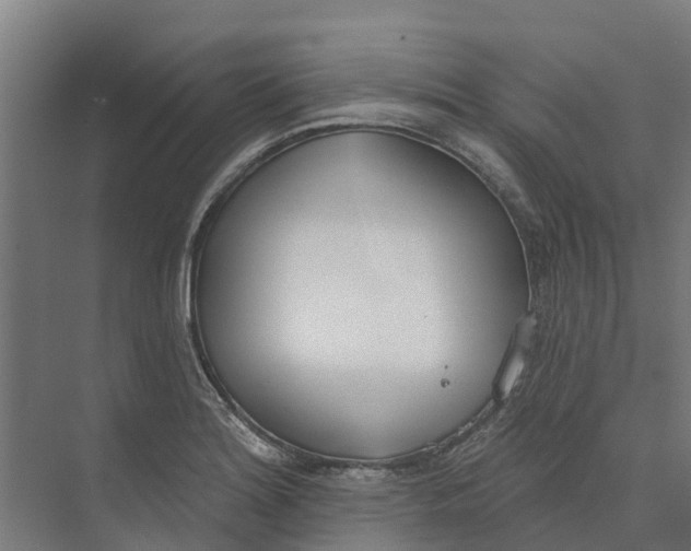 X0000073971180200609111734