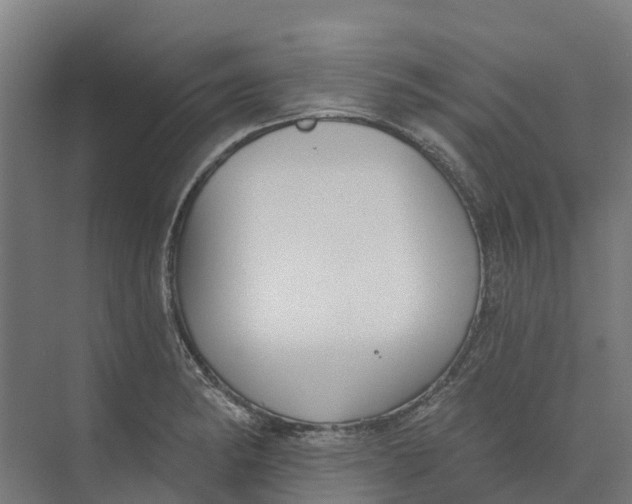 X0000073971182200609111734