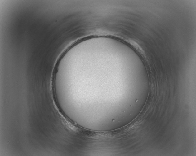 X0000073971183200609111734