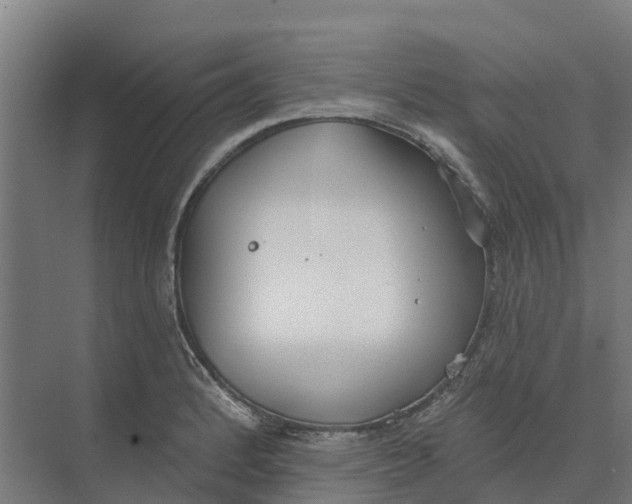 X0000073971184200609111734