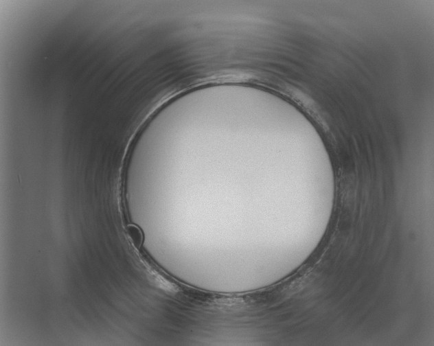 X0000073971186200609111734