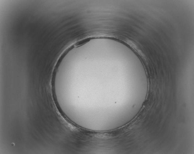 X0000073971189200609111734