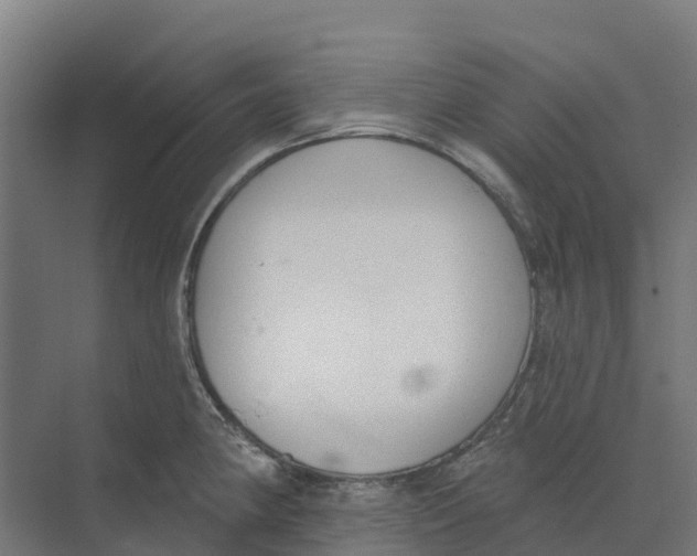 X0000073971190200609111734