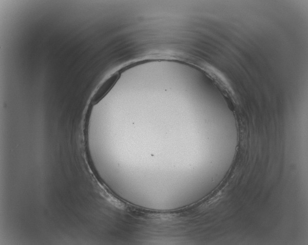 X0000073971192200609111734