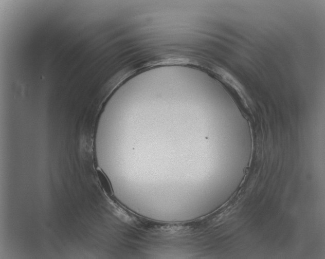 X0000073971193200609111734