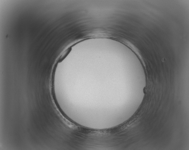 X0000073971195200609111734