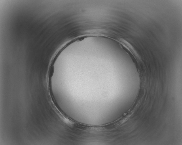 X0000073971196200609111734