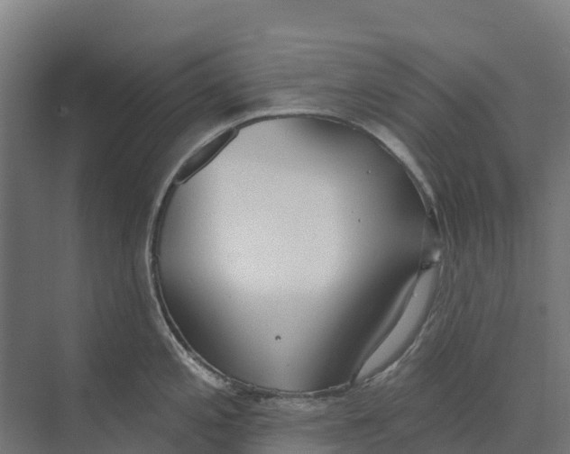 X0000073971197200609111734