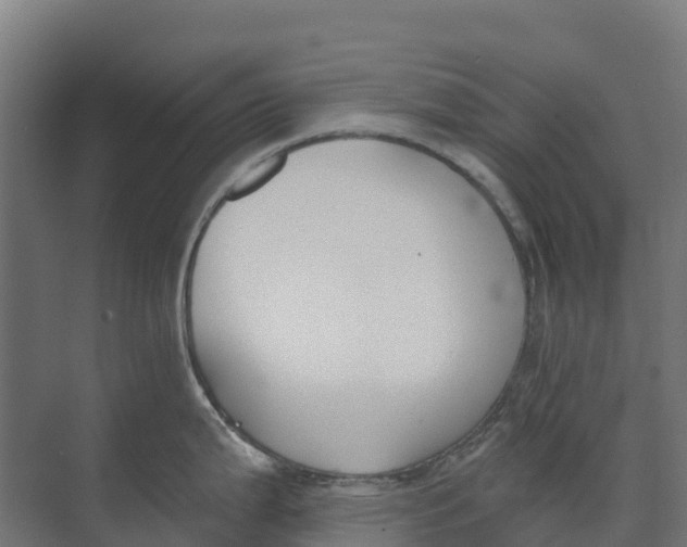 X0000073971199200609111734