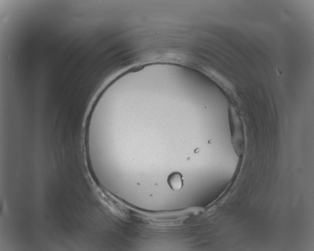 X0000073971200200609111734