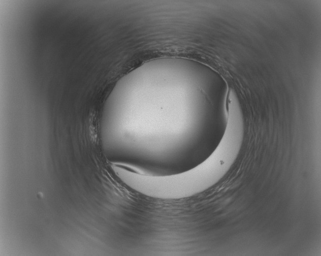 X0000073971202200609111733