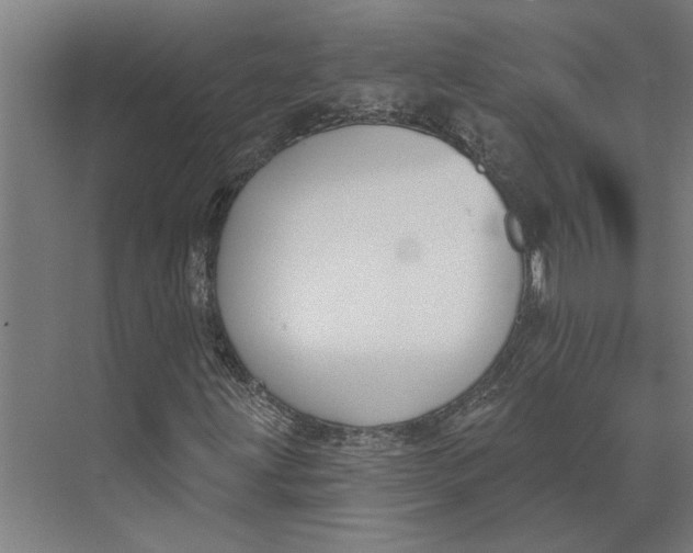 X0000073971203200609111733