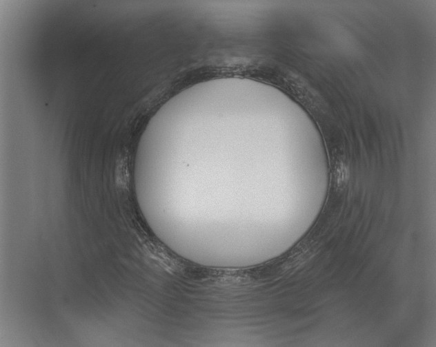 X0000073971204200609111733