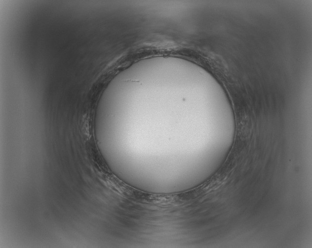 X0000073971205200609111733