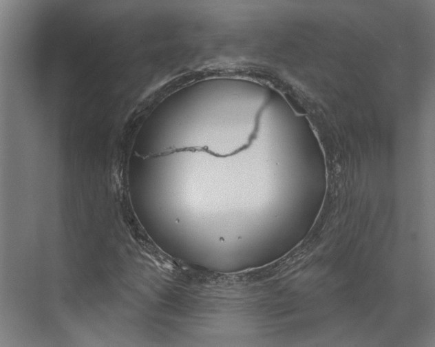 X0000073971206200609111733