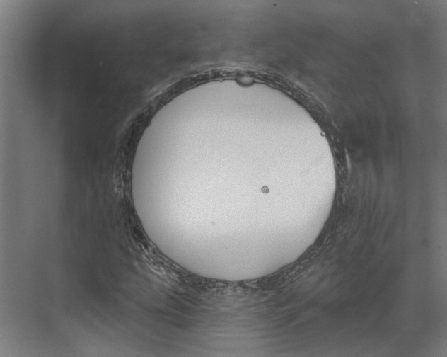 X0000073971207200609111733