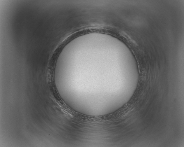 X0000073971208200609111733