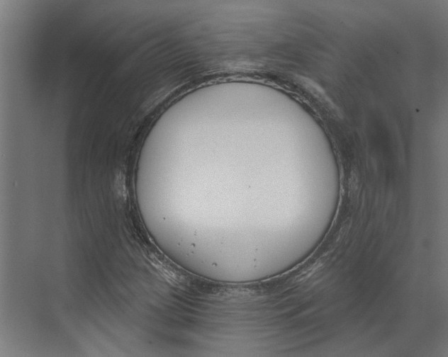 X0000073971209200609111733