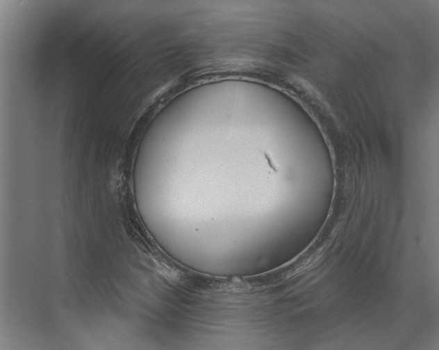 X0000073971210200609111733