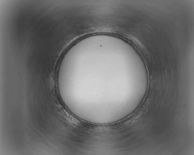 X0000073971212200609111733