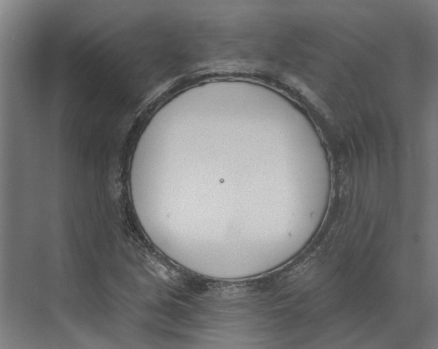 X0000073971213200609111733