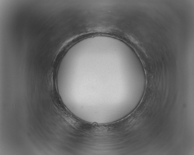 X0000073971214200609111733