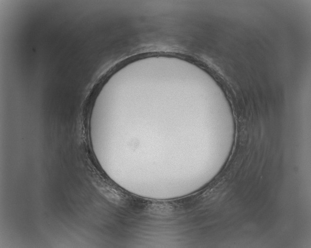 X0000073971215200609111733